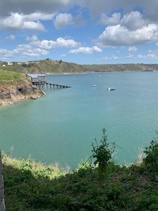 Lobster Cottage - Stylish 3 Bedroom Cottage In Heart Of Tenby Town, Pembrokeshire Eksteriør billede